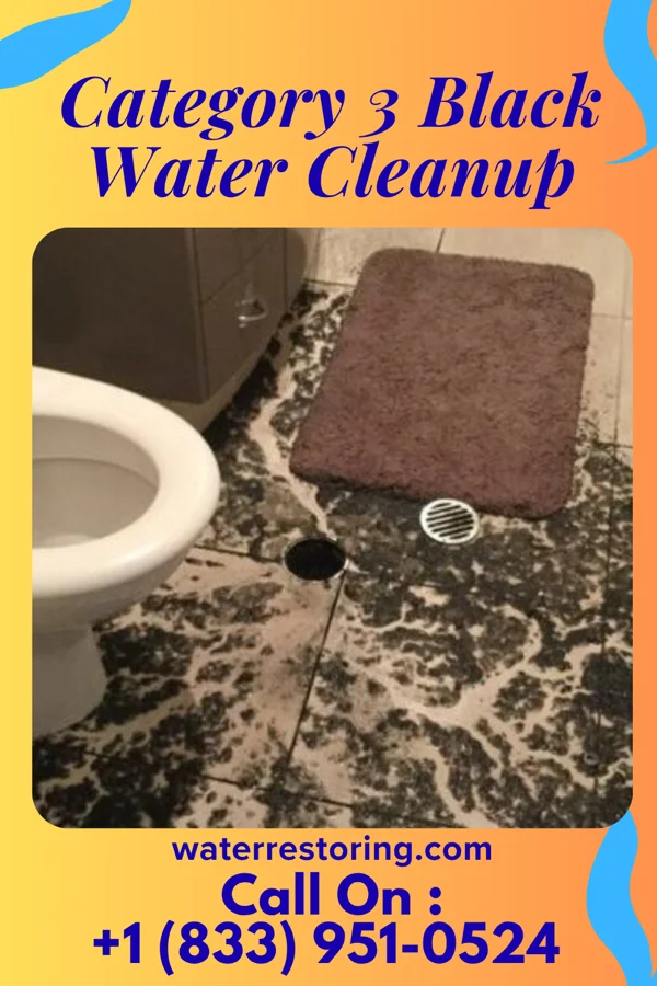 Category 3 Black Water Cleanup in Riverdale, VA