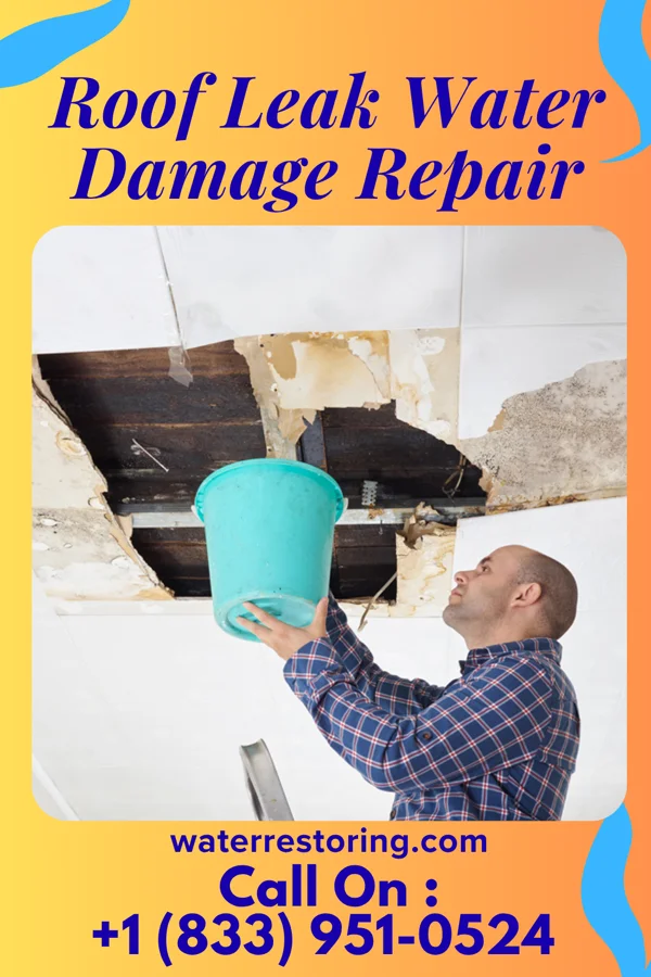 Roof Leak Water Damage Repair in Riverdale, VA