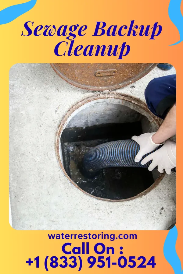 Sewage Backup Cleanup in Riverdale, VA